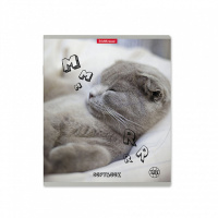 Тетрадь А5 48л кл. Erich Krause " Be Relaxed"