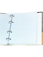 Тетрадь А5  80л кл. на кольцах Проф-Пресс "Модный портрет"