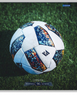 Тетрадь А5  96л кл. Проф-Пресс "Разные футбольные мячи -1" 4 диз.в коробе