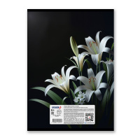 Тетрадь А4  80л кл. скоба Светоч "Твой край"