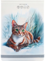 Скетчбук А5  80л., гребень, 100гр/м2 "Кошачий портрет" тв.обл., резинка