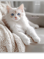 Тетрадь А5  96л кл. Проф-Пресс "Разные домашние коты"