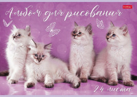 Альбом А4 24л скоба "Кототерапия" пл. 100 гр/м