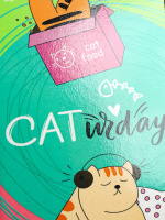 Пенал 3 отд. (190*105*55) молния, лам.картон "Кошачьи будни"