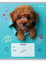 Тетрадь А5 18л кл. Проф-Пресс "Обаятельные песики" 5 диз.в спайке, белизна 100%