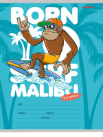 Тетрадь А5 12л косая лин. Проф-Пресс "Клевый серфинг", 5 диз.в спайке