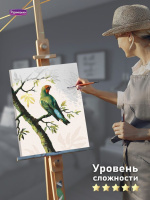 Живопись по номерам с акрилом 40*30см  "Райская птичка"