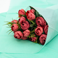 Бумага тишью 50*66см, 14гр/м2, Мята, 10шт/уп