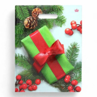 Пакет 40*31см (60мк) с вырубной укрепл. ручкой "Калина в подарок" Ламинат