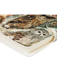 Ежедневник недат. B6 136л., кожзам, мягк.обл., гребень "Fauna. Волшебные совы" магнит.хлястик