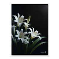 Тетрадь А4  80л кл. скоба Светоч "Твой край"