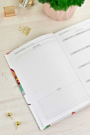 Ежедневник недат А5 7БЦ,  80л. "Diary. Изящество" тисн.фольгой, софт-тач