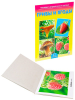 Наглядно-дидактическое пособие "Грибы и ягоды"