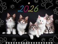 Календарь Трио МИНИ  195*440мм на 2026г.  Котосессия