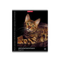 Тетрадь А5 48л кл. Erich Krause "Кошки с характером"