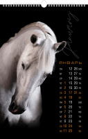 Календарь настенный перекидной РИГЕЛЬ  300*450мм на 2026г.  Год Лошади_портреты