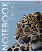 Тетрадь А5  80л кл. Hatber "Дикие и свободные" мат.лам., белизна 98%