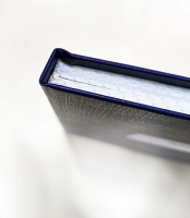 Книга учета кл. А4  96л., обл.твердая "Синяя. Бумвинил"