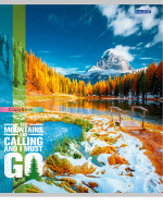 Тетрадь А5  96л ЛИН. Проф-Пресс "Захватывающие виды - 1" 4диз.в коробке, белизна 92%