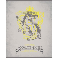 Тетрадь А5 48л   кл.  "Гарри Поттер" мат.лам.