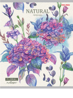 Тетрадь А5 24л лин. Проф-Пресс "Нарисованные цветы-2" 5 диз.в спайке, белизна 100%