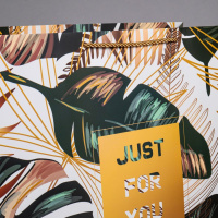 Пакет подар. бумажн. 47*47*25см, 230гр/м2  Общий