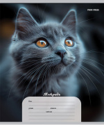 Тетрадь А5 12л косая лин. частая Проф-Пресс "Портретные фото котов" 5диз.в спайке, белизна 100%