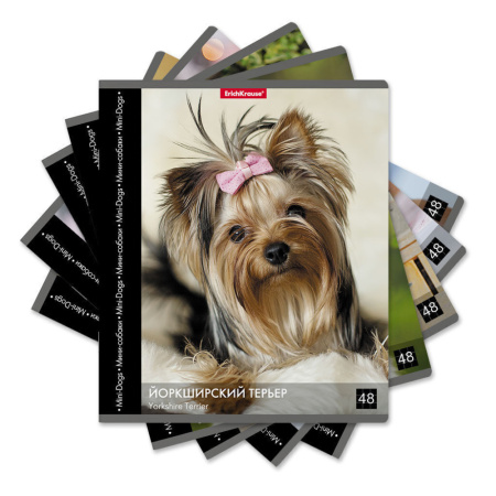 Тетрадь А5 48л кл. Erich Krause " Энциклопедия, Собаки мини-пород"