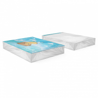 Альбом А4 30л клеевой кор. "Capybara Travel"