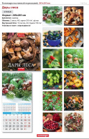 Календарь КВАДРАТ  285*285мм на 2026г.  Дары леса