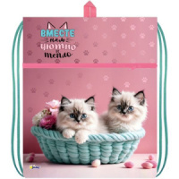 Мешок для обуви 1 отд, 410*490, карман "Пушистые котята"