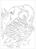 Акварельная раскраска по эскизам А4, 10л. "Животные", блок бумага 200г/м