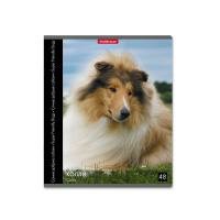 Тетрадь А5 48л кл. Erich Krause " Самые добрые собаки"