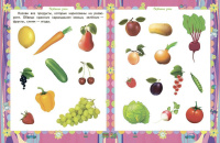 Домашняя академия 165*210мм. 64стр. Сборник развивающих заданий для детей 2-3 лет