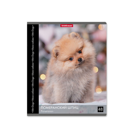 Тетрадь А5 48л кл. Erich Krause " Энциклопедия, Собаки мини-пород"