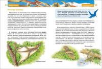 Книжка 220*165мм,  96стр. "Энциклопедия.  Динозавры"