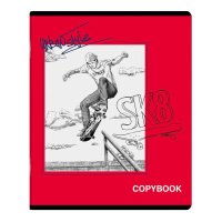 Тетрадь А5 48л кл. Феникс+ "Стиль жизни", выб.твин лак