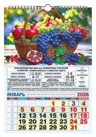 Календарь Ригель А3 350*510мм на 2026г.  "Садово-огородный лунный"