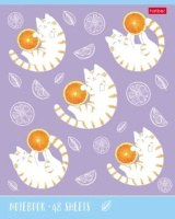 Тетрадь А5 48л кл. Hatber "Котик-апельсинка" выб.лак., 5диз.в спайке, белизна 100%*