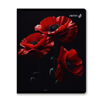 Тетрадь А5 48л кл. Светоч "Тайна чёрного сада"