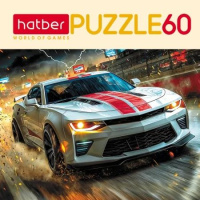 Пазлы   60 элементов  230*165мм.  "На скорости"