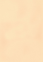 Папка для пастели  А4  8л. 4цв. "Страна чудес" (Сон в маковом поле)