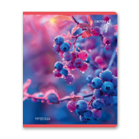 Тетрадь А5 48л кл. Светоч "На рассвете" глянц.лам.