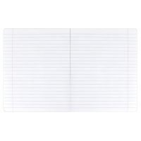 Тетрадь А5 24л лин. Феникс+ "Яркая сладость" выб.УФ-лак, белизна 100%