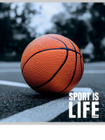 Тетрадь А5 48л кл. Проф-Пресс "Спортивная тема - 1" твин-лак., 5диз.в спайке