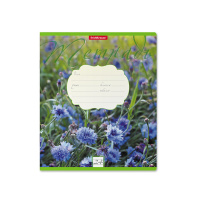 Тетрадь А5 24л лин. Erich Krause "Цветущие луга"