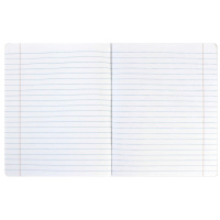 Тетрадь предметная А5 Для сочинений "Фразы с характером" 48л, выб. ТВИН УФ-лак., лин., бел.100%