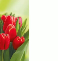 Открытка евро без текста "8 Марта"