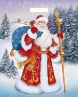 Пакет 47,5*39см (60мк) с вырубной укрепл. ручкой "Желанный гость" ПВД