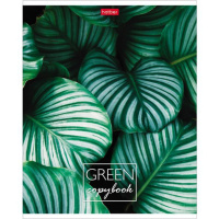 Тетрадь А5  96л кл.  "MOREgreen"